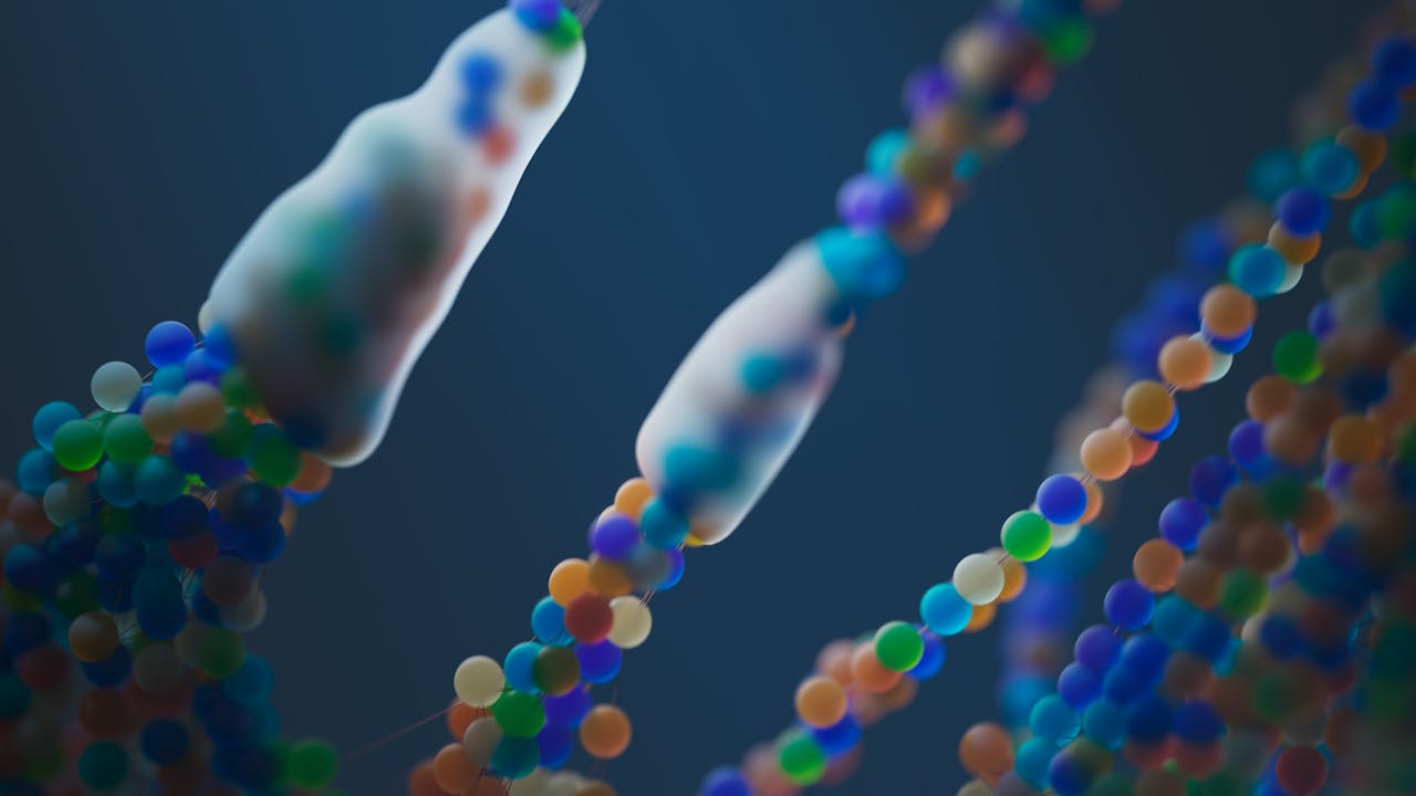Representación visual de estrategias bioquímicas funcionales en la prevención del cáncer de próstata.